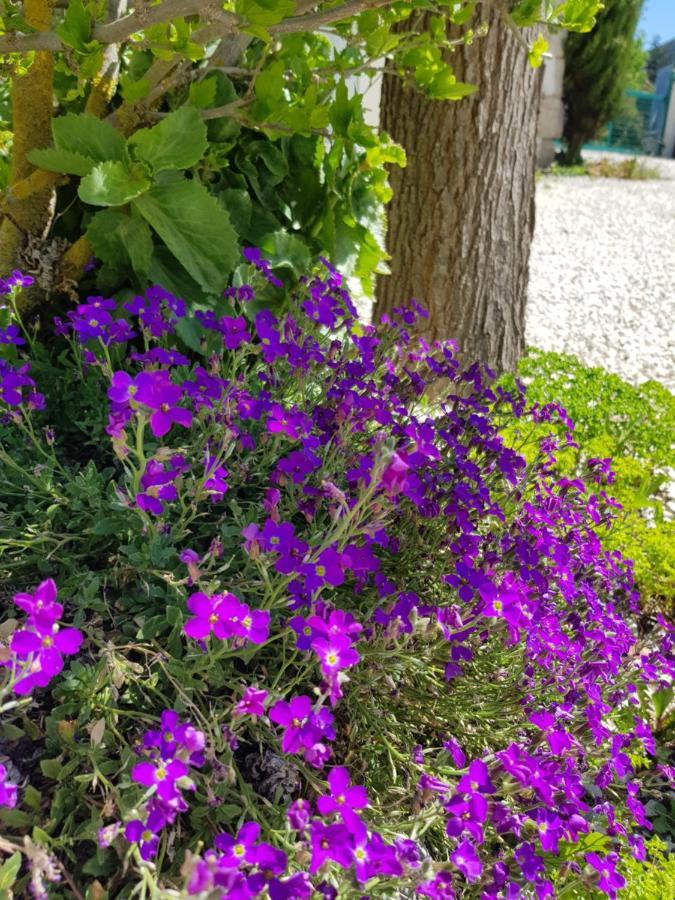 Camping Calme Et Nature Castellane Buitenkant foto